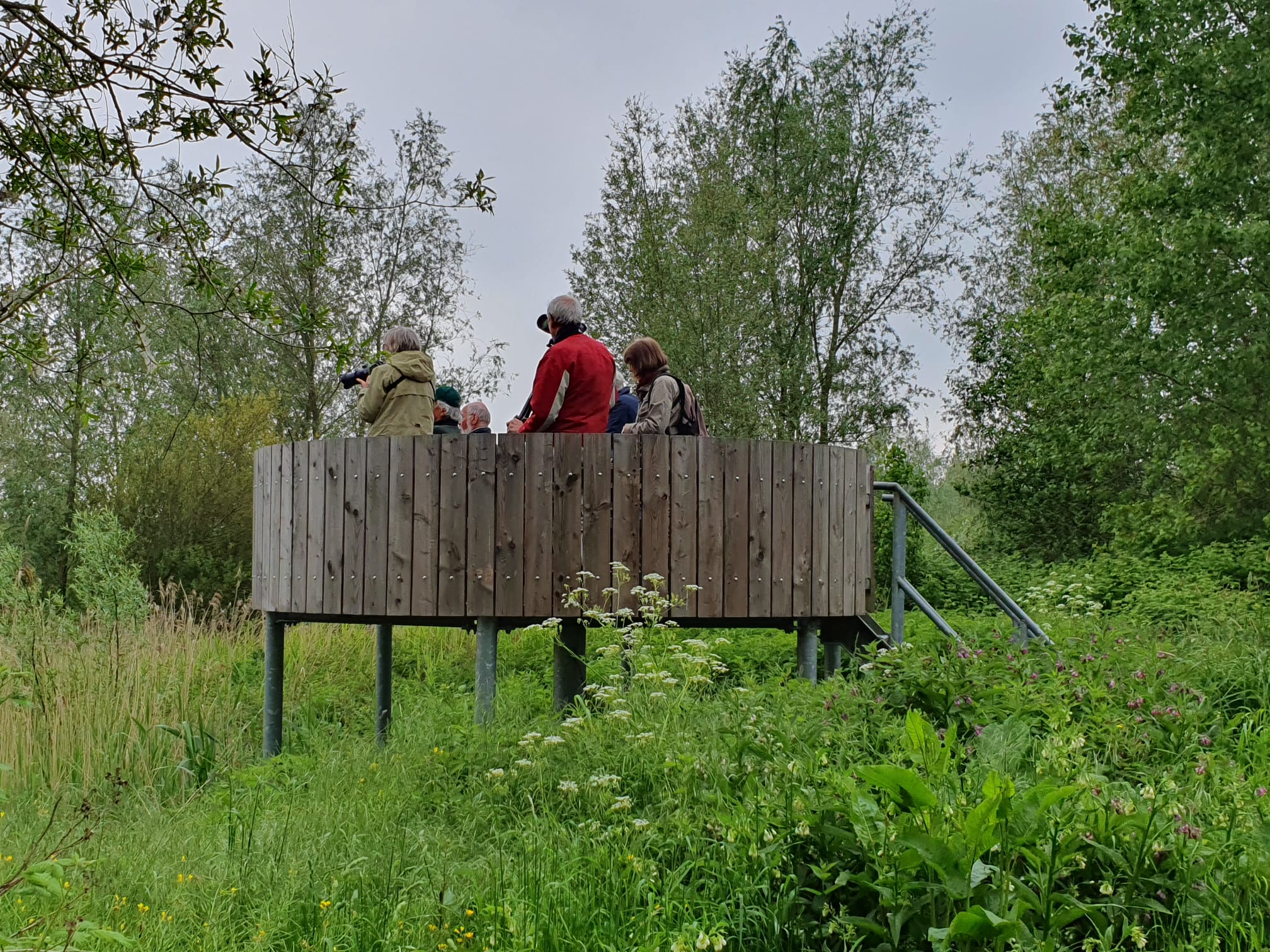 Vogelaars (Biesbosch). Foto van Yolanda Calandt.